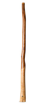 Wix Stix Didgeridoo (WS376)